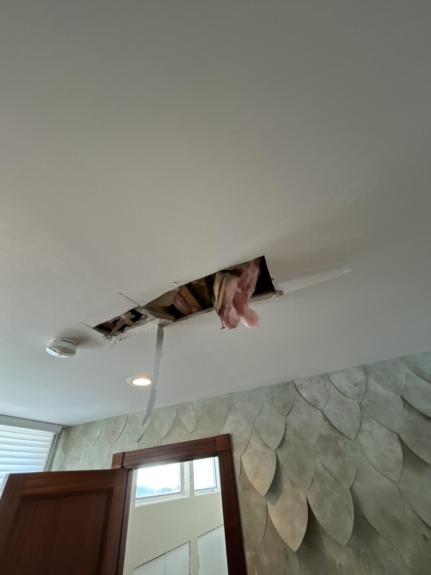 Ceiling Damage