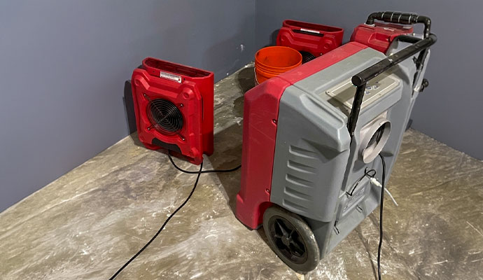 Air movers set up for water removal