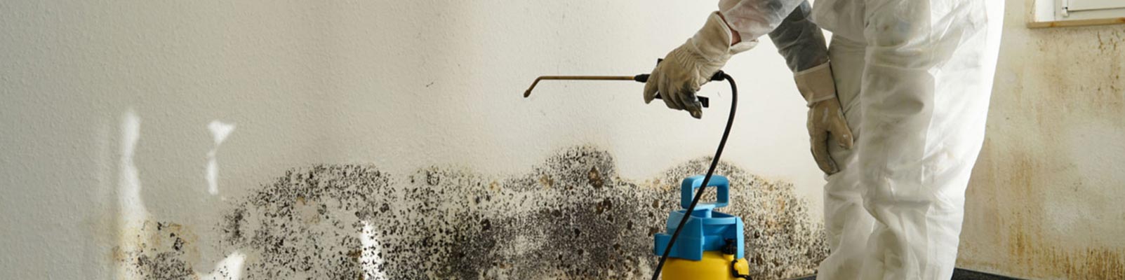Mold service banner