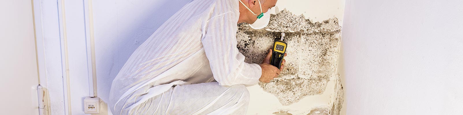 Professional mold inspection banner