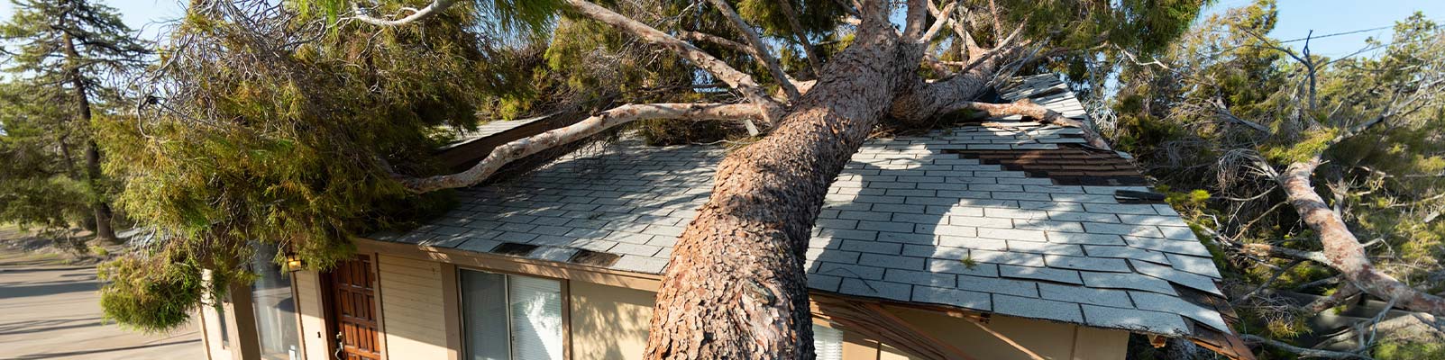 Storm damage banner