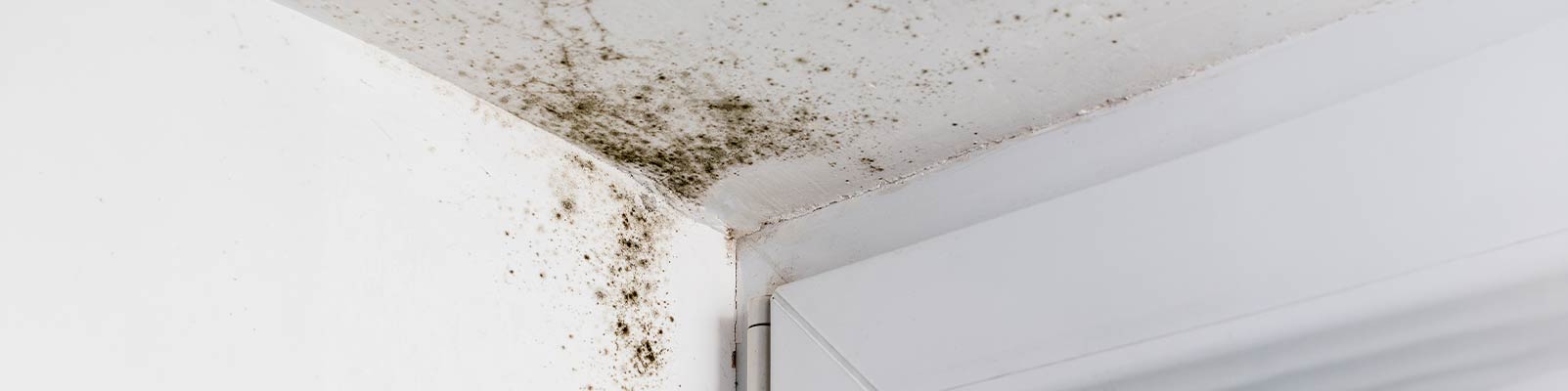 Moisture control banner