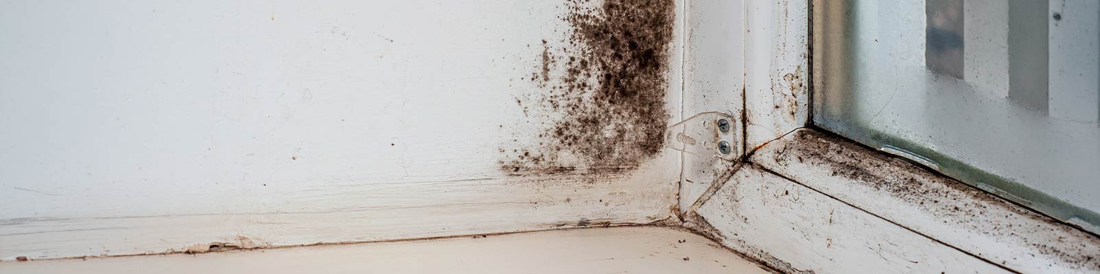 Mold damaged wall banner
