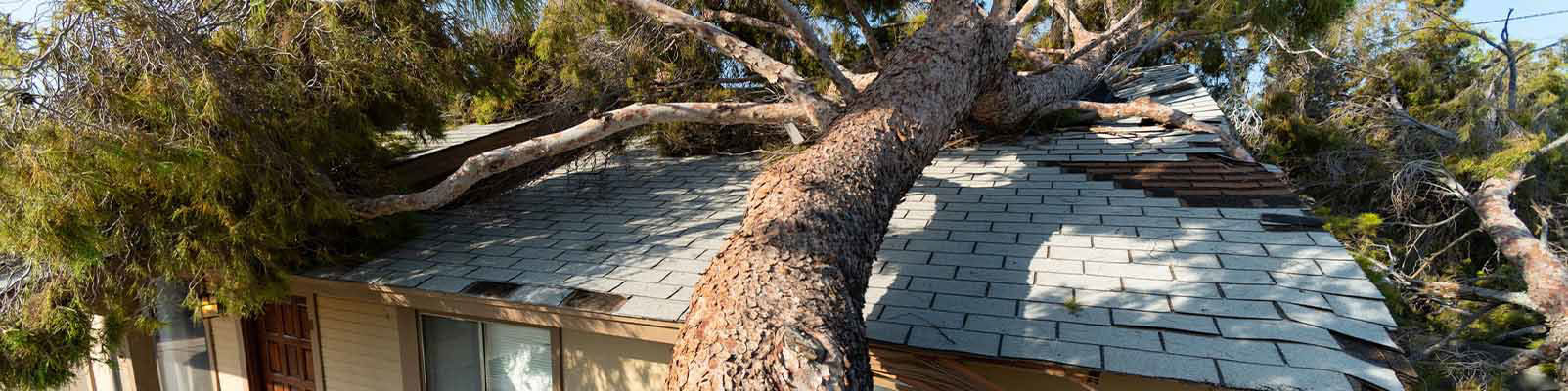 Storm damaged house roof