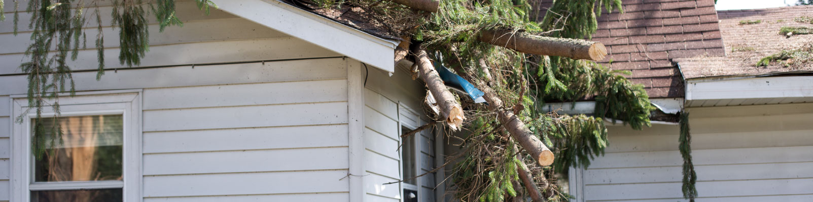 Storm damaged property