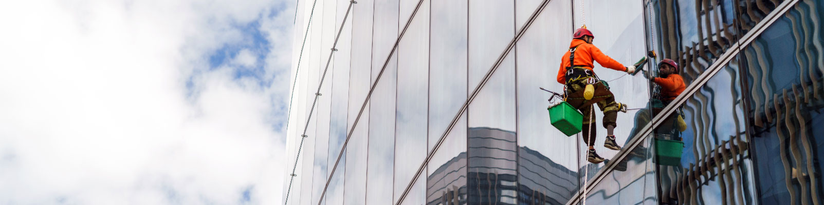 Window cleaning service