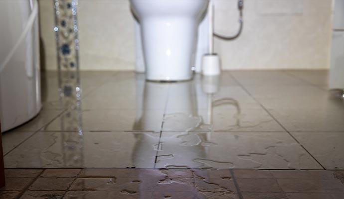Bathroom floor flooded from toilet overflow