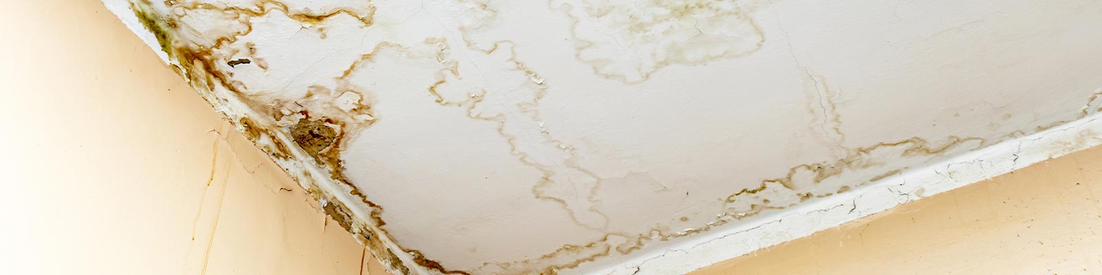 Ceiling severely damaged by water