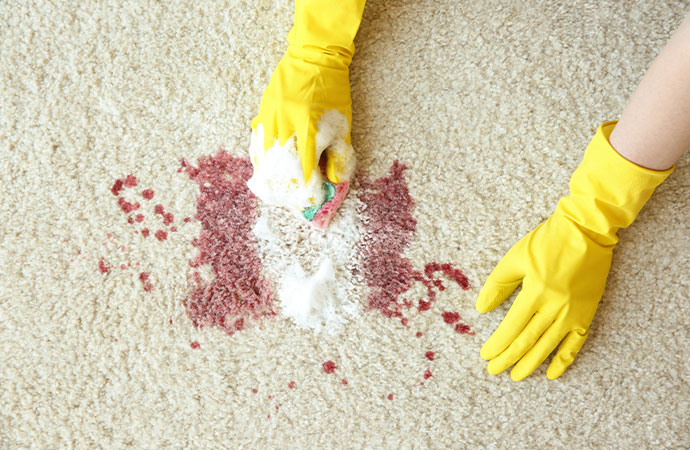 Remove Odors and Stains