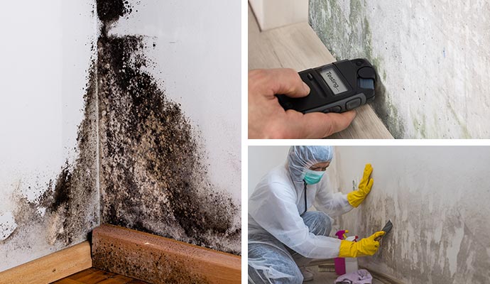 Collage of mold damaged wall, mold testing and mold remediation services