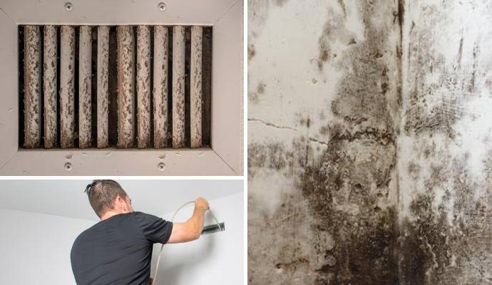 Collage showing moldy walls and HVAC mold cleaning services