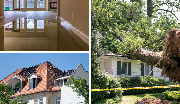 Collage of water, fire, and storm damaged property