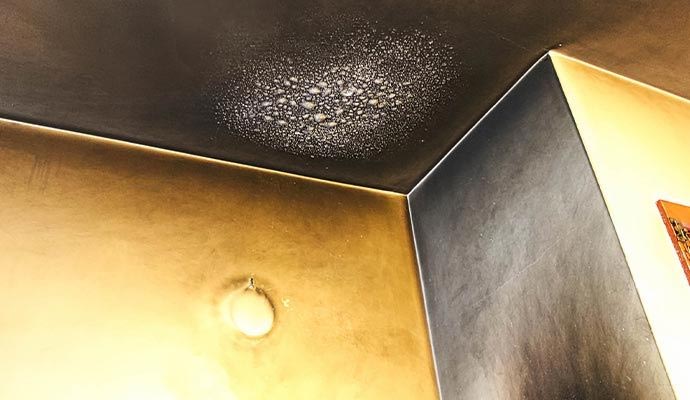 Fire and smoke damaged ceiling