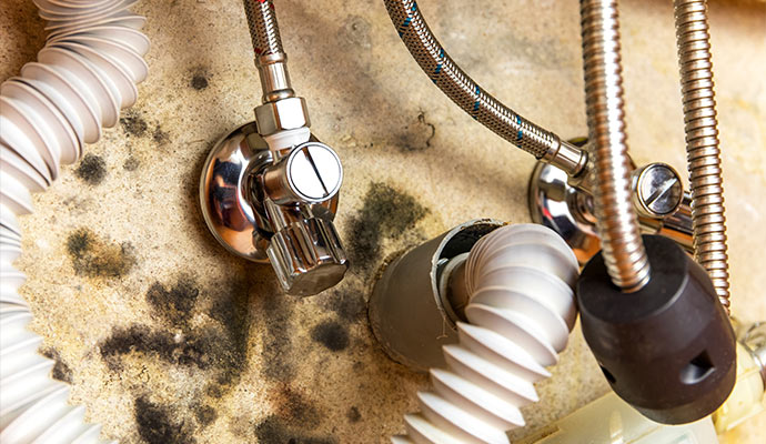 Mold around plumbing pipe