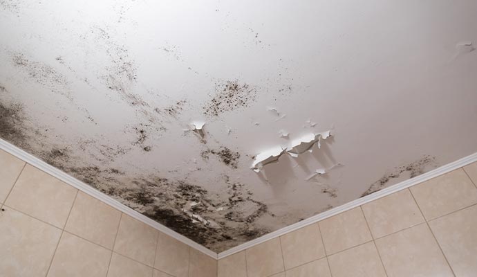 Mold damaged ceiling