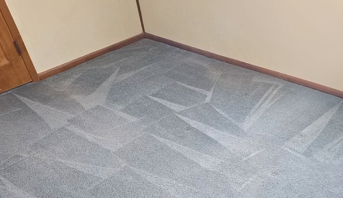 Corner view of a clean grey carpeted room