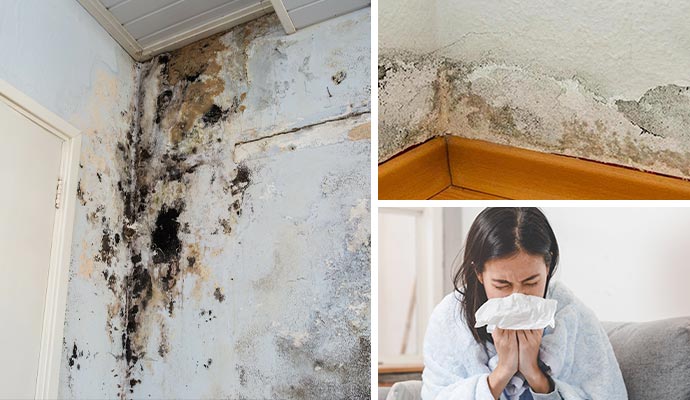 Collage showing mold-damaged walls and a woman sneezing due to mold exposure