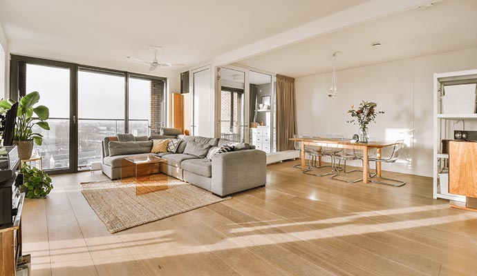 Clean odor free living room