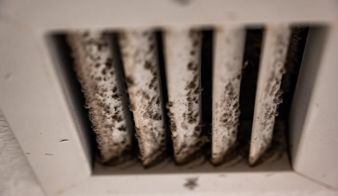 Visible mold on hvac vent