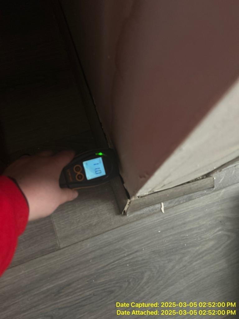 Moisture Readings