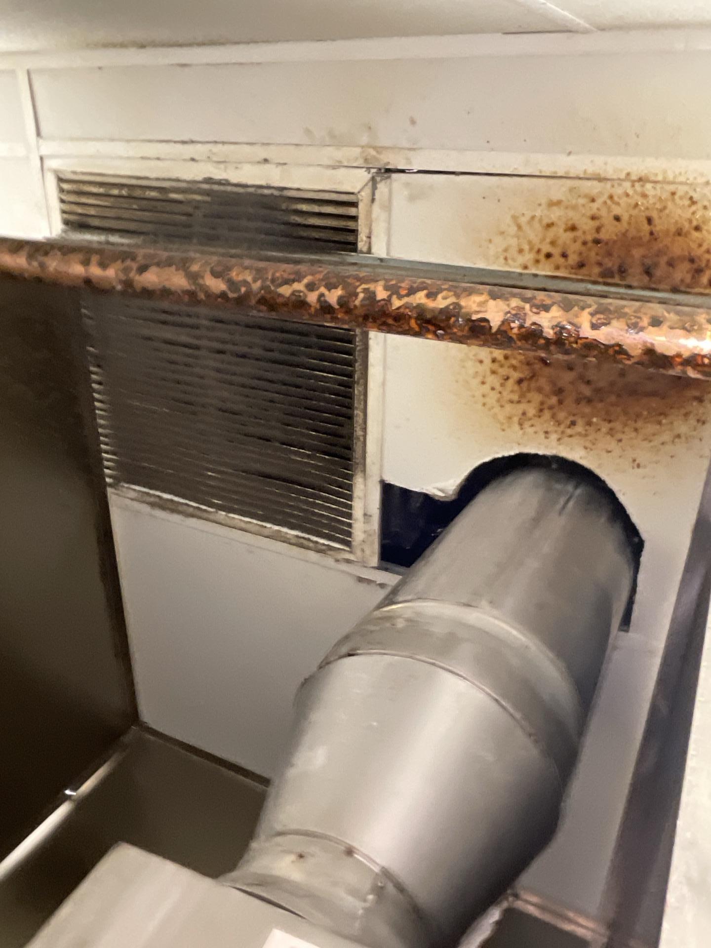 Mold Damages