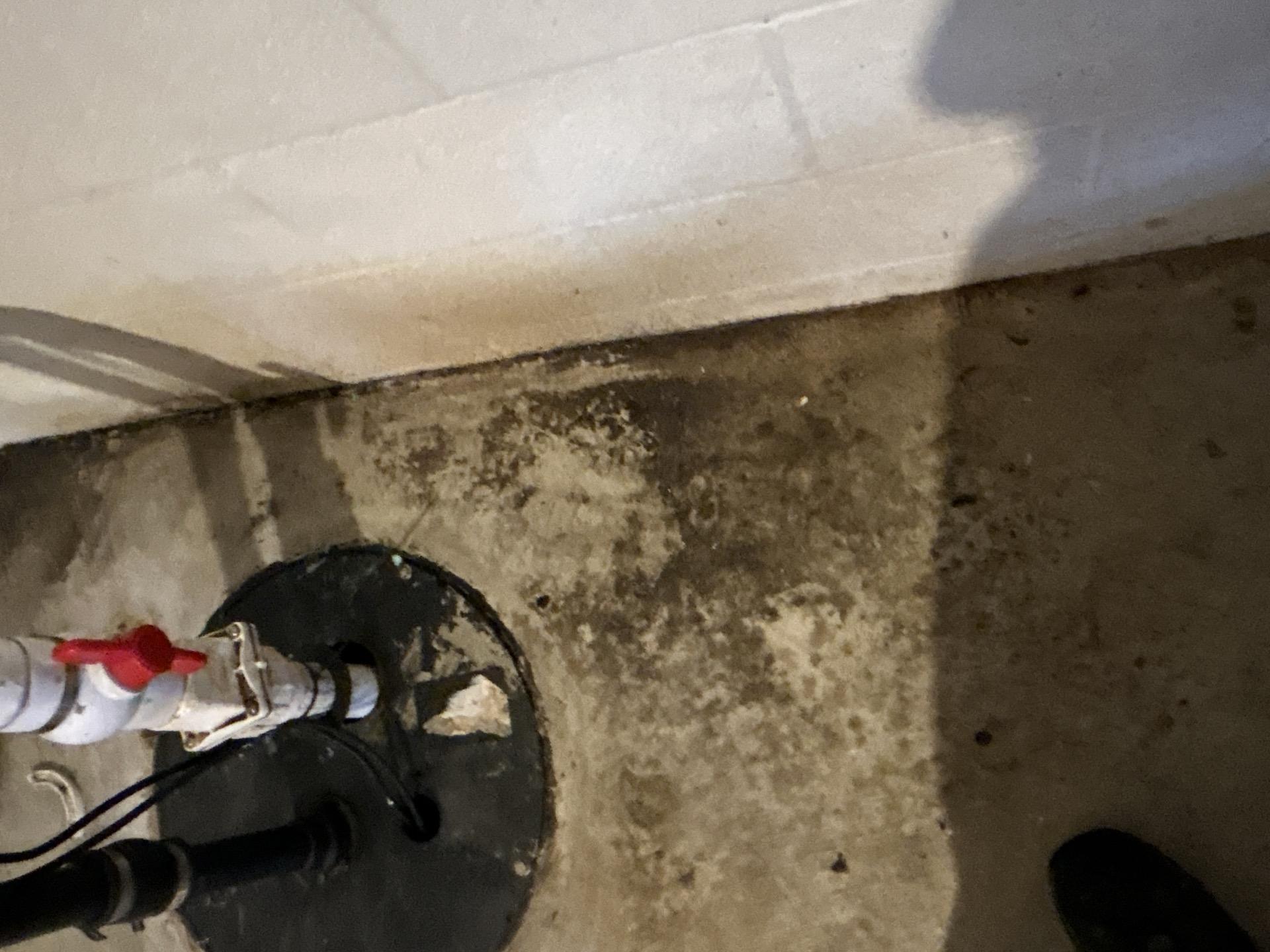 Water Damage