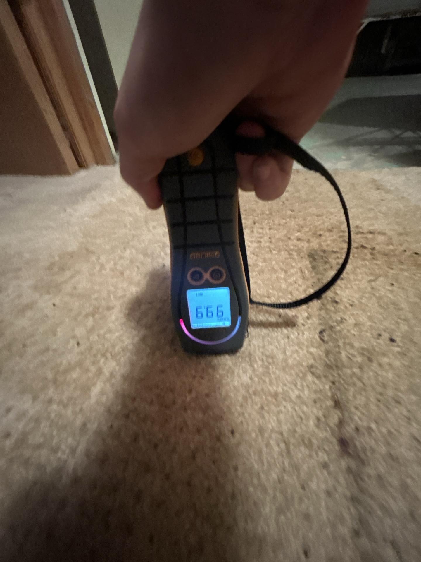 Moisture Readings