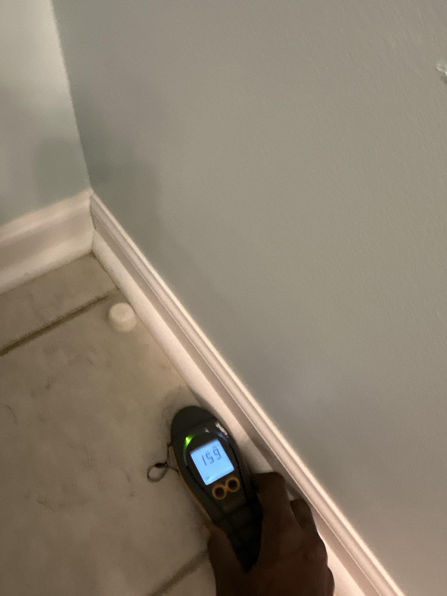 Moisture Readings