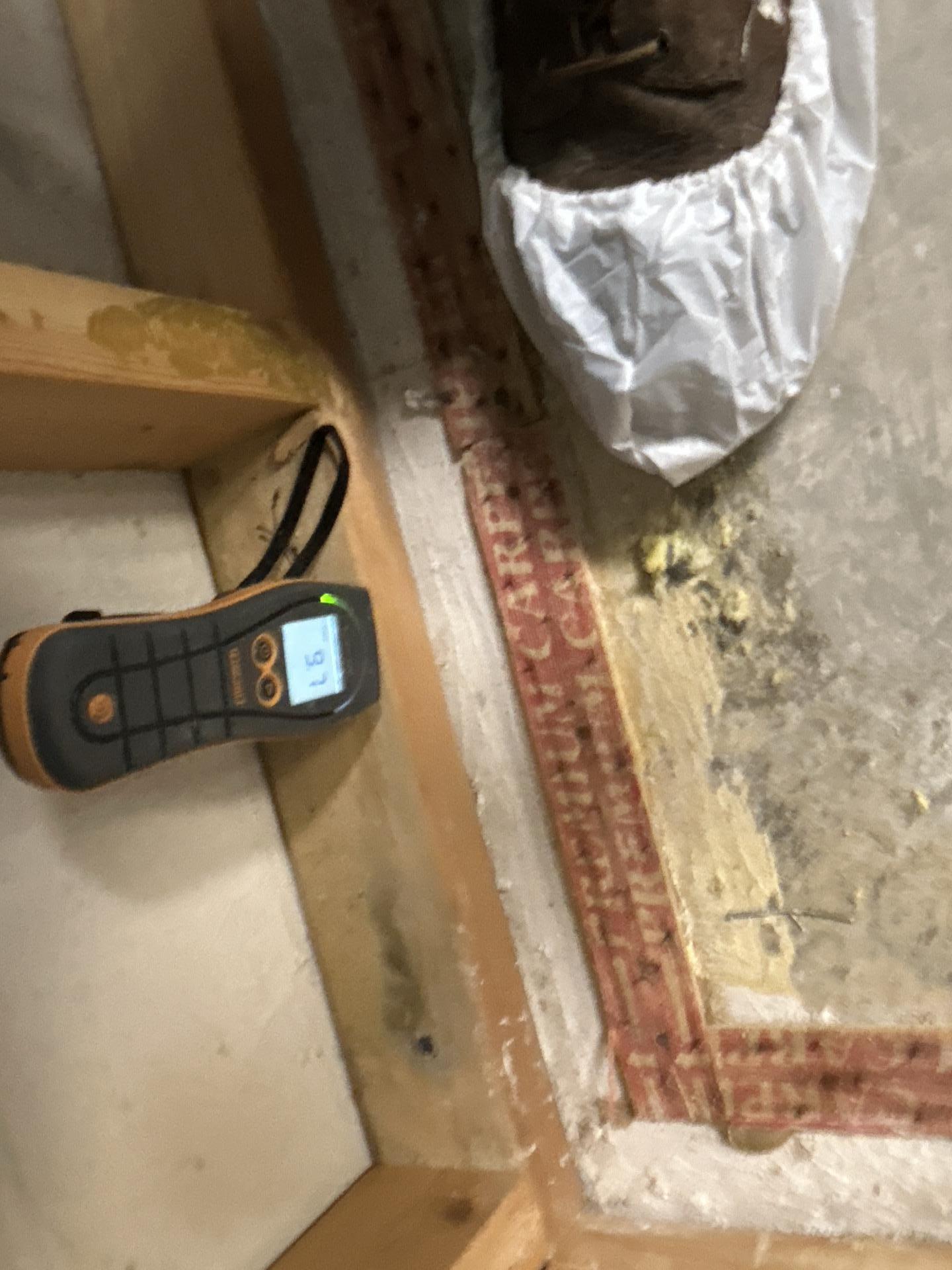 Moisture Readings