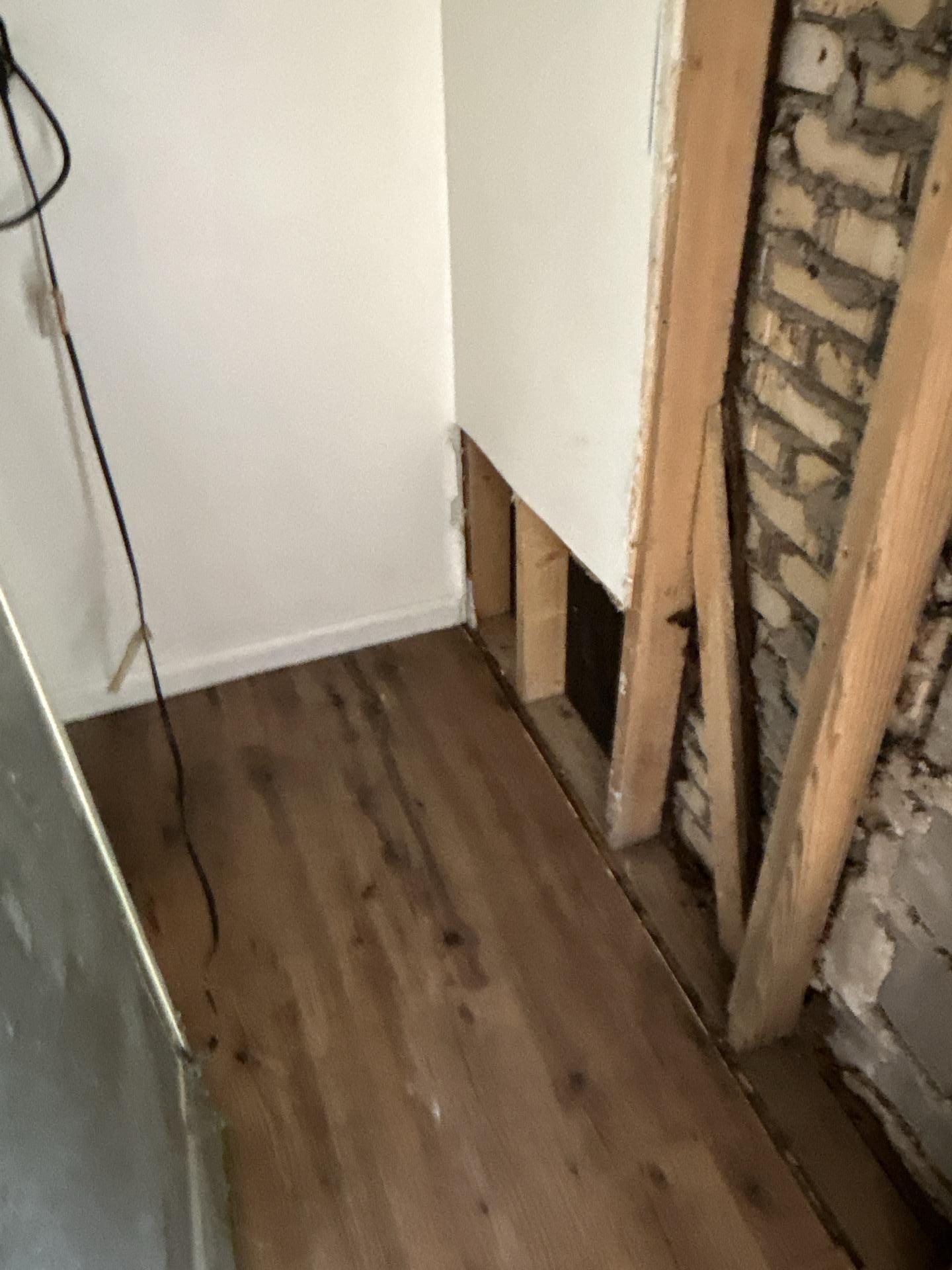 Mold Damage