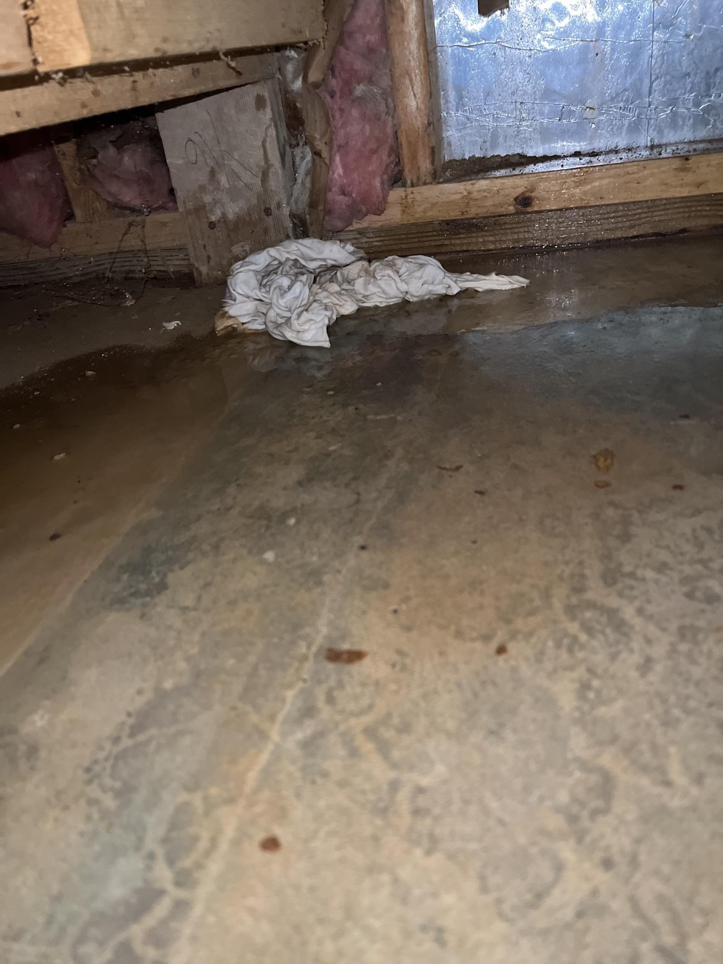 Water Damage