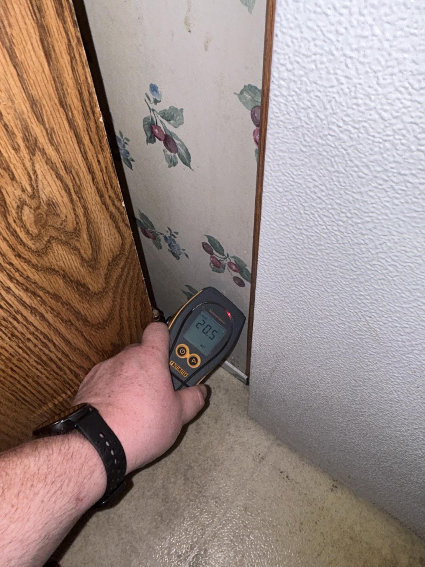 Moisture Readings