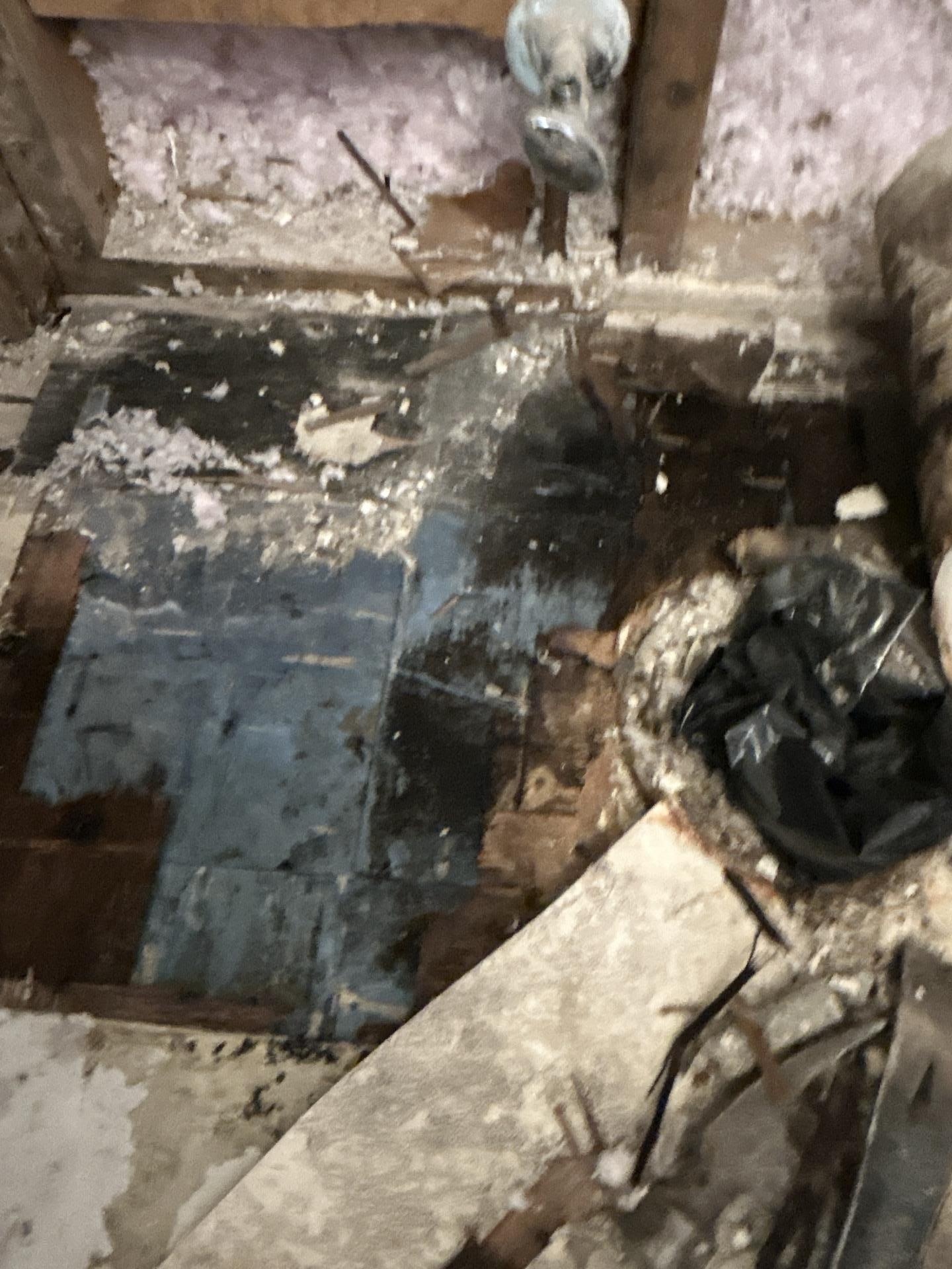 Water Damage