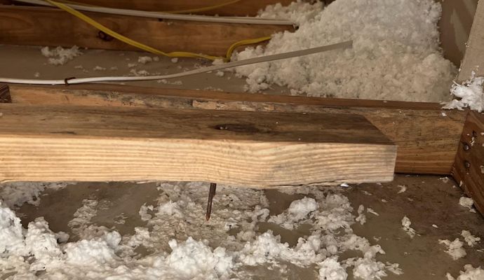 Mold damaged structure