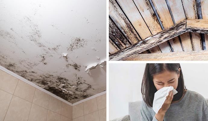 Collage of damaged ceiling, drywall and women sneezing due to allergies Collage of damaged ceiling, drywall and women sneezing due to allergies