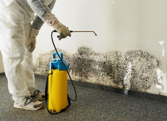 Person removing mold with equipment