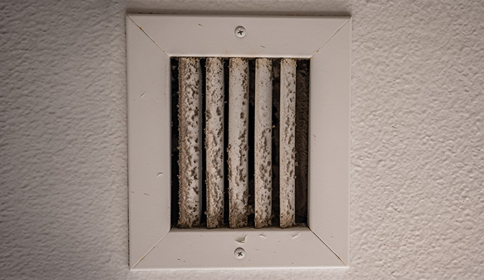Removing Mold in Air Ducts in Wheeling and Charleston