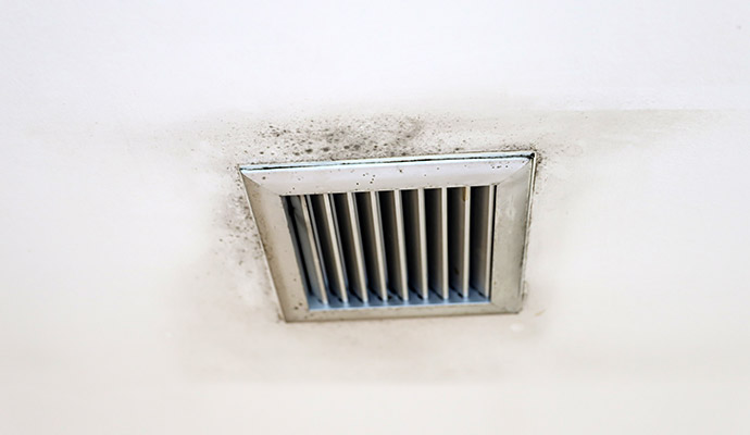 Moldy air vent cover