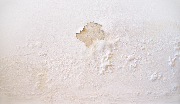 Dampness on wall