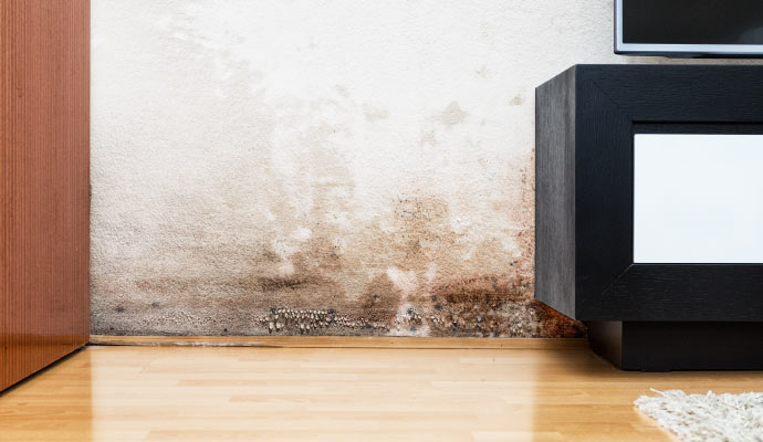 A moldy wall