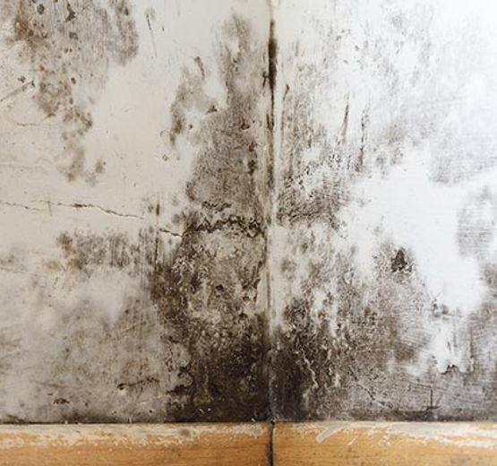 A moldy wall