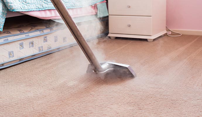 Professional carpet clenaing