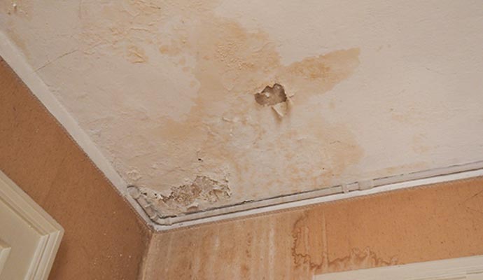 Water stains on a ceiling indicating roof damage