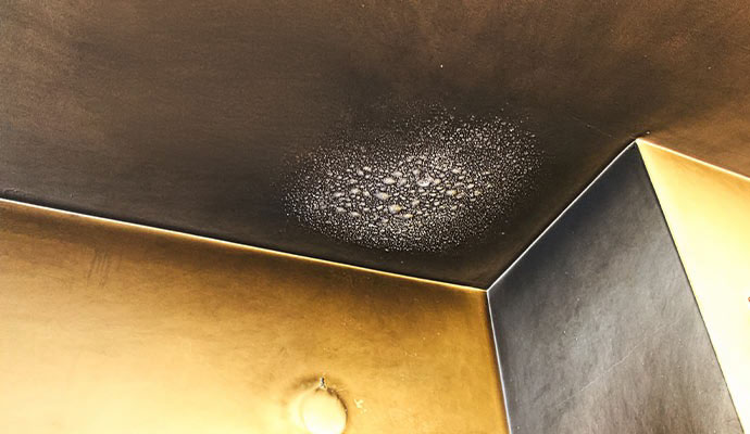 Smoke damaged wall and ceiling