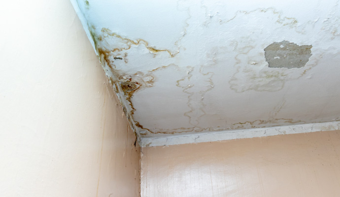 Water stains and peeling paint on an interior ceiling and wall caused by a leaking roof