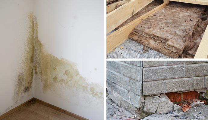 Wall mold, wet insulation, and cracked foundation.