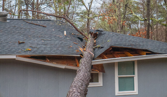 Storm damaged roof