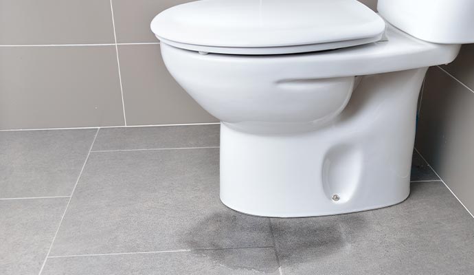 Toilet base water leak Toilet base water leak
