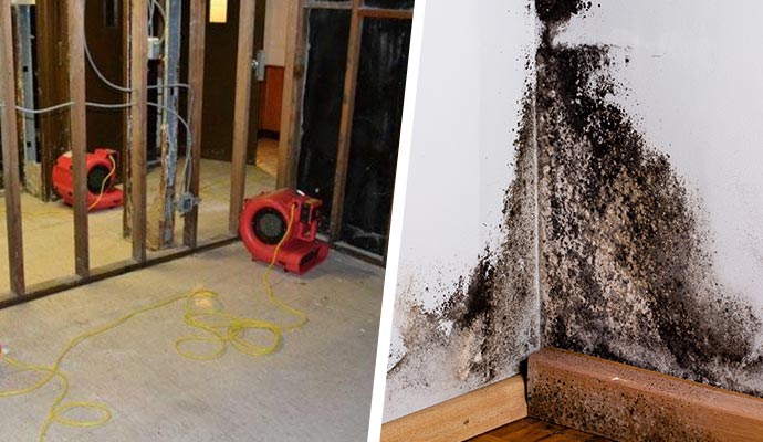 Collage of water and mold damage remediation
