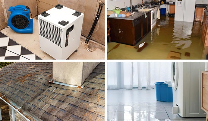 Collage showcasing various types of water-damaged properties